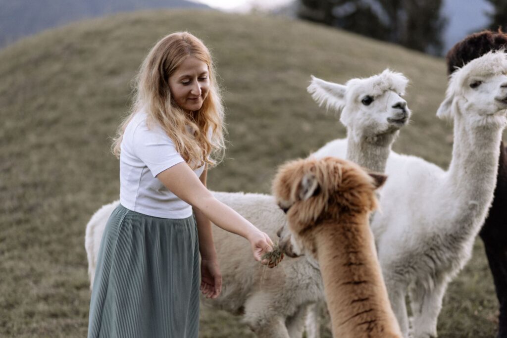 Die im Landhof Irschen angebotenen Alpaka-Wanderungen erfreuen Groß und Klein